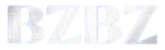 bzbz com logo